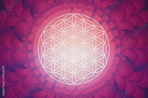 flower of life - abundance photo