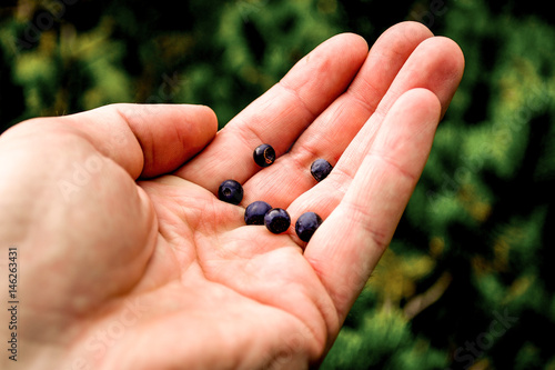 Man Holding in Hands Fresh Blueberries