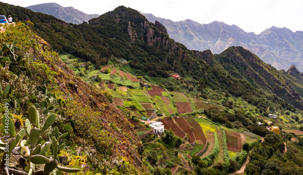 Landwirtschaftliche Terrassen im Anaga-Gebirge, Teneriffa Stock Photo