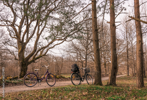 Two bikes parked in a small country road in the forest, Jomfruland National Park, Kragero, Norway photo