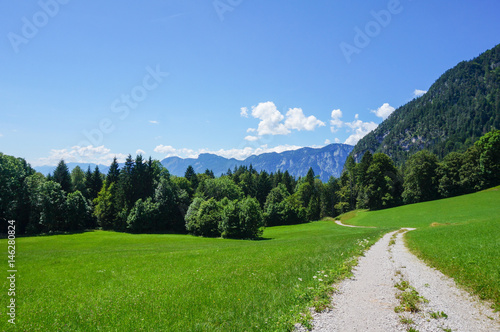 Dirt road through vibrant green meadow in Tyrol