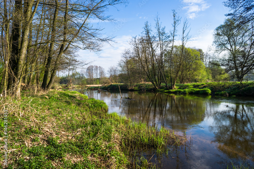 Wiosna nad rzeką. Piękna nizinna rzeka Drzewiczka, Mazowsze, okolice wsi Nieznamierowice Wiosna nad rzeką. Piękna nizinna rzeka Drzewiczka, Mazowsze, okolice wsi Nieznamierowice