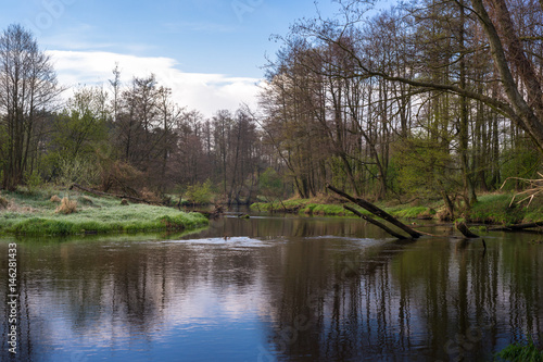 Wiosna nad rzeką. Piękna nizinna rzeka Drzewiczka, Mazowsze, okolice wsi Nieznamierowice