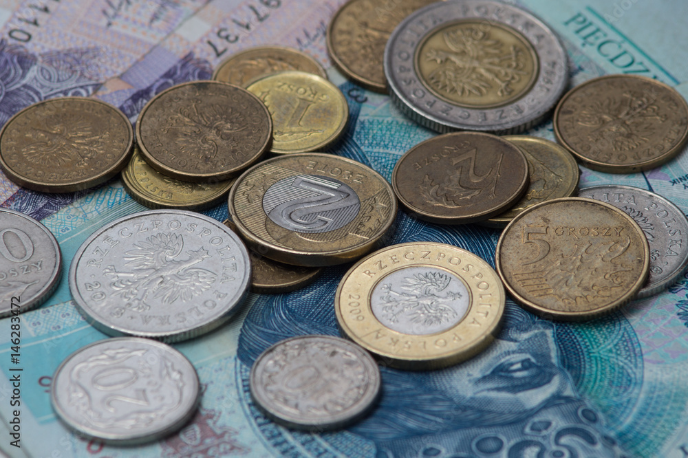Polish money. Banknotes and coins Polish money. Banknotes and coins