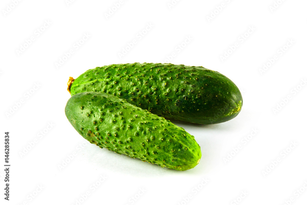Ripe fresh cucumber Ripe fresh cucumber