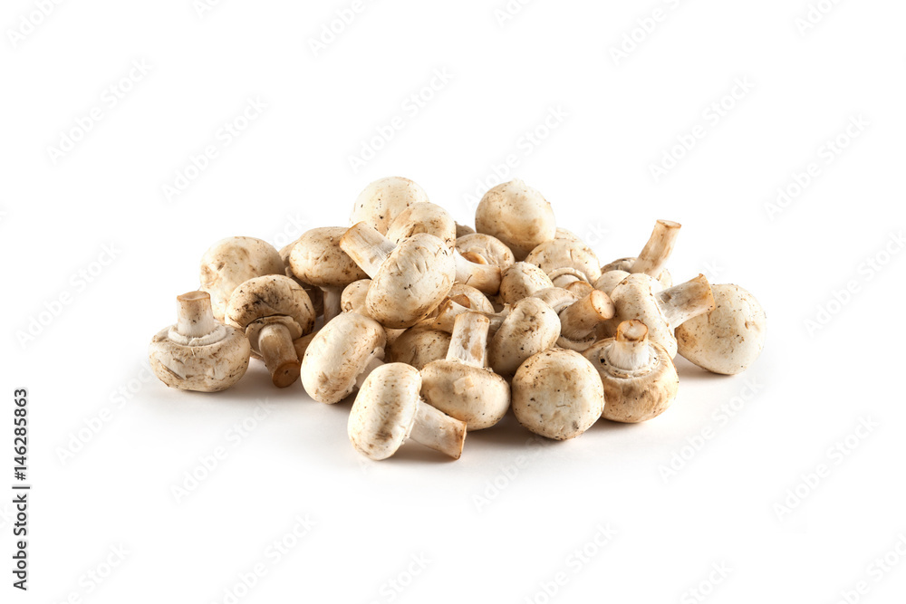 Fresh mushrooms close up Fresh mushrooms close up