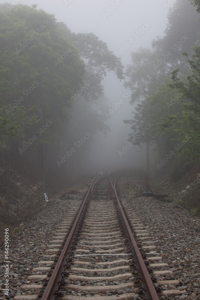 Railroad tracks disappearing into the mist