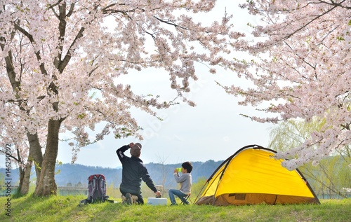 春・桜・キャンプのファミリー