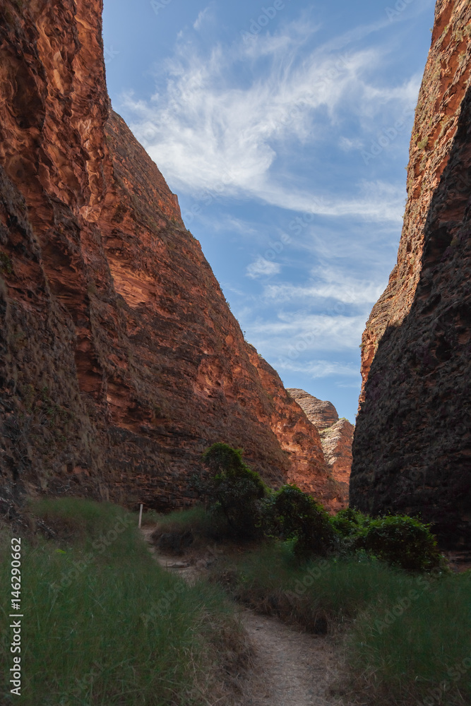 The walk into Catherdral Gorge, Purnululu, National Park