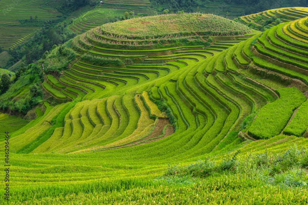 Rice terrace at Mu Cang Chai is a rural district of Yen Bai Province, in the Northeast region of Vietnam have been recognized as national landscapes by the Ministry of Culture, Sports and Tourism. Rice terrace at Mu Cang Chai is a rural district of Yen Bai Province, in the Northeast region of Vietnam have been recognized as national landscapes by the Ministry of Culture, Sports and Tourism.