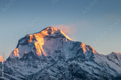 Dhaulagiri, view of mount Dhaulagiri from poon hill, Nepal photo