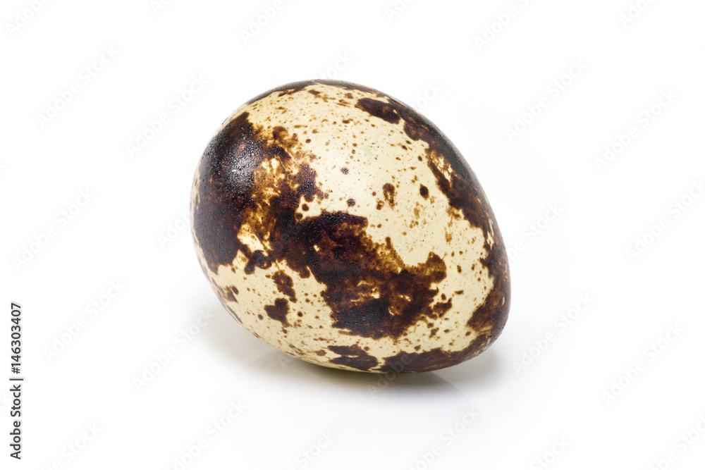 Fresh Quail Egg Isolated on White Fresh Quail Egg Isolated on White