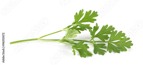 Fototapeta Naklejka Na Ścianę i Meble -  parsley isolated on a white background