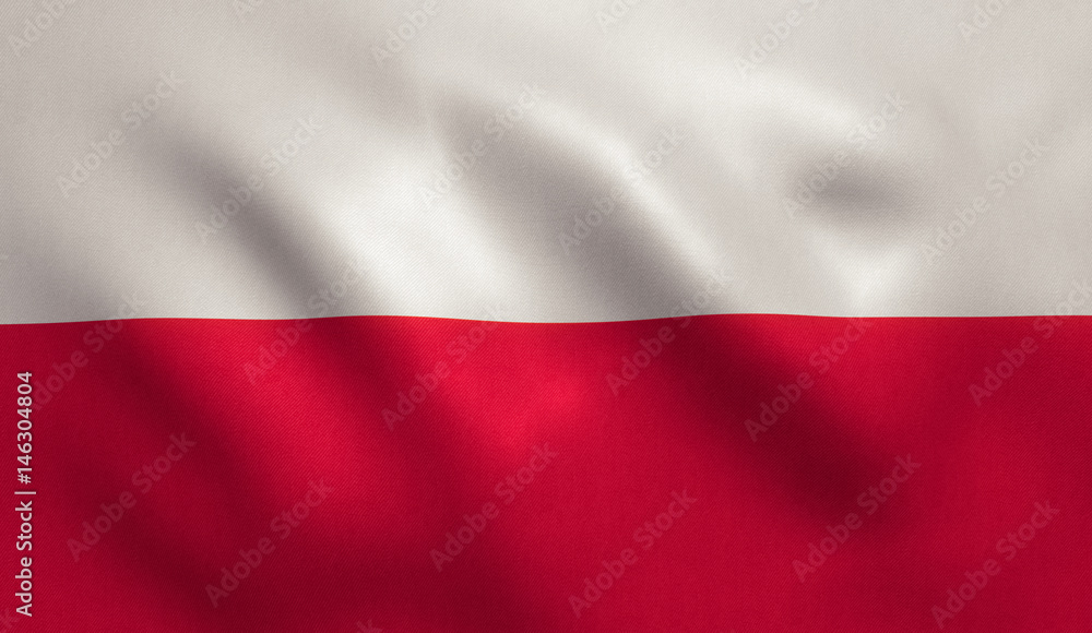 Obraz premium Poland Flag