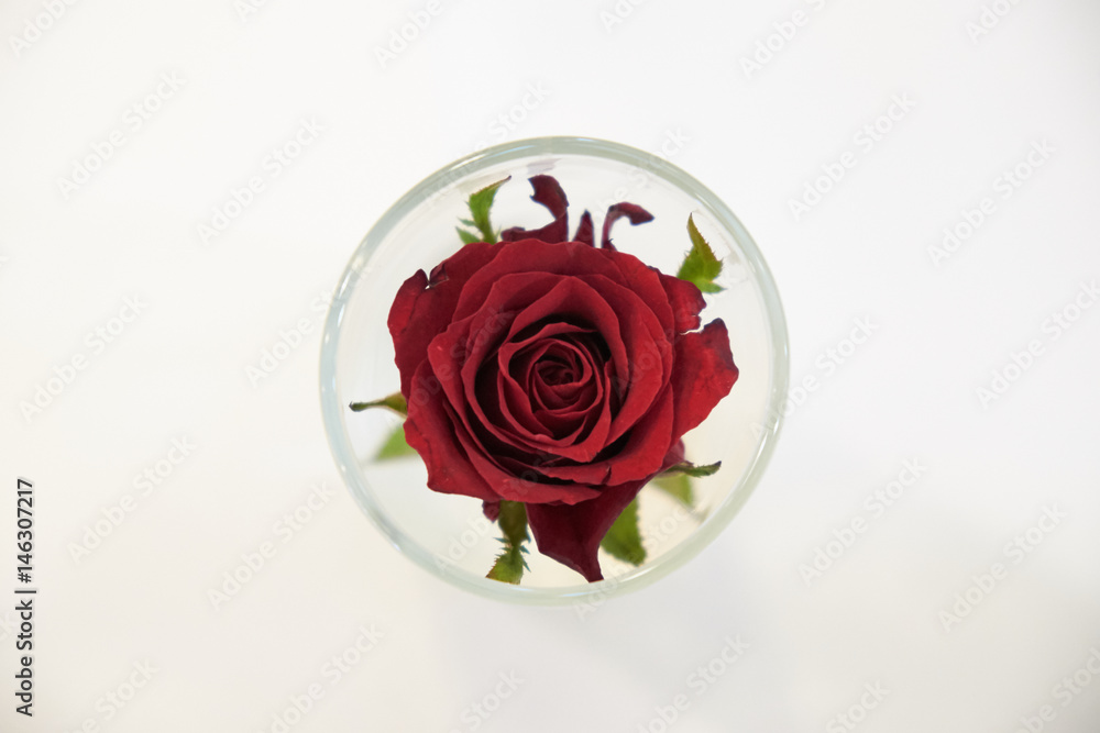 Red rose in glass on table, top view. Love and dating concept. Red rose in glass on table, top view. Love and dating concept.