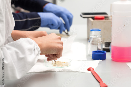 Biologists at work in laboratory © Alessandro Grandini