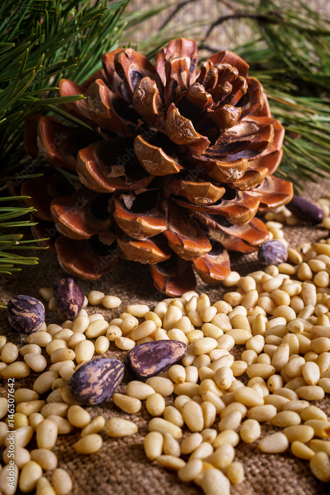 Fototapeta premium Cedar cones together with nuts in the shell and without it.