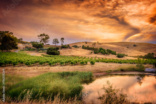Barossa Dawn