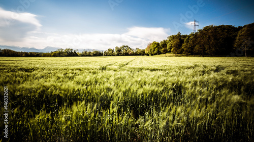 Fields of Italy in a spring day