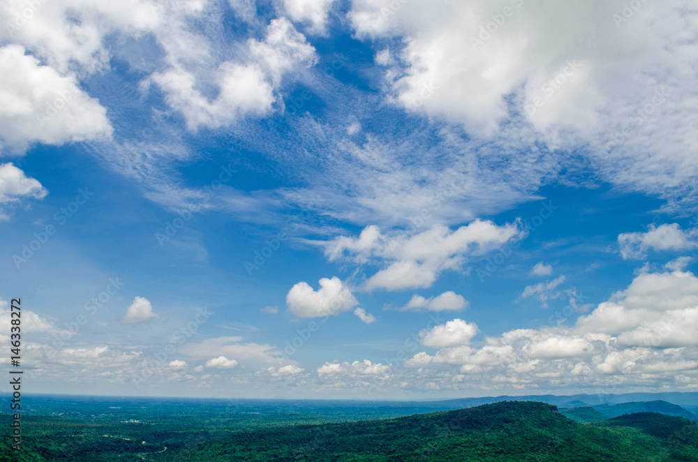 Obraz premium Blue sky and white cloud. Green tree.