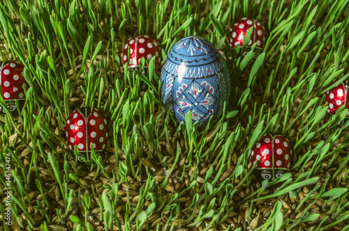 Painted wooden blue egg with chocolate ladybirds on sprouted barley
