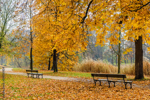 A beautiful autumn landscape. City Park in Warsaw. Lazienki Krolewskie Park, Warsaw, Poland. Lazienki Krolewskie is a popular tourist place in the city center, Warsaw, Poland. photo