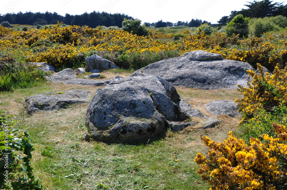 dolmen et pierre de l'ile d'yeu