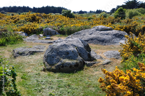 dolmen et pierre de l'ile d'yeu