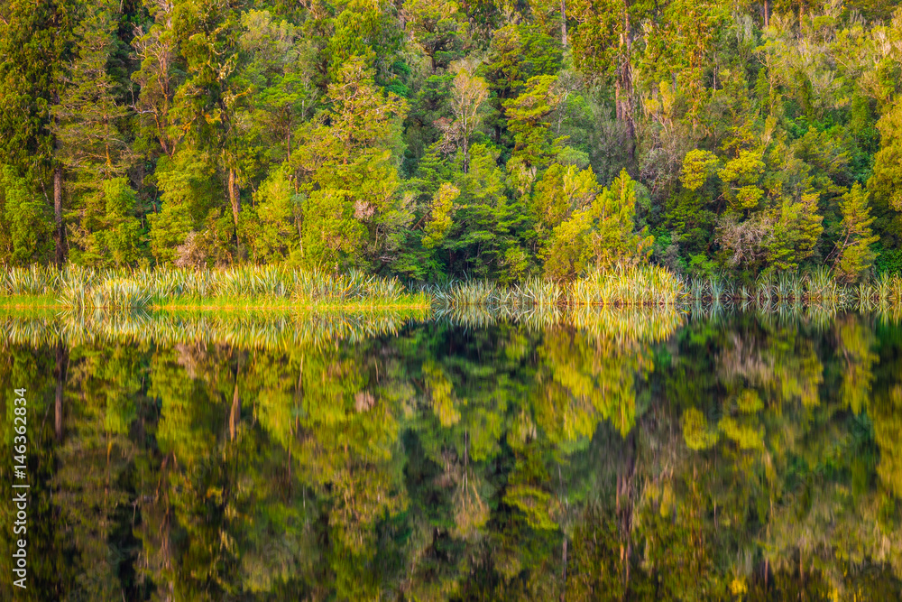 Lake Matheson. Locate near the Fox Glacier in West Coast of South Island of New Zealand.It is famous for its reflected views of Aoraki/Mount Cook and Mount Tasman. Lake Matheson. Locate near the Fox Glacier in West Coast of South Island of New Zealand.It is famous for its reflected views of Aoraki/Mount Cook and Mount Tasman.