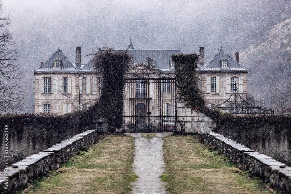 Fototapeta premium Manoir abandonné