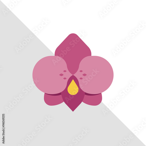 Pink flat flower with geometry modern fashion background, bright colours, beautiful orchid, beauty banner template, wax club icon, natural symbol, eco organic cosmetic, bio ecology image.