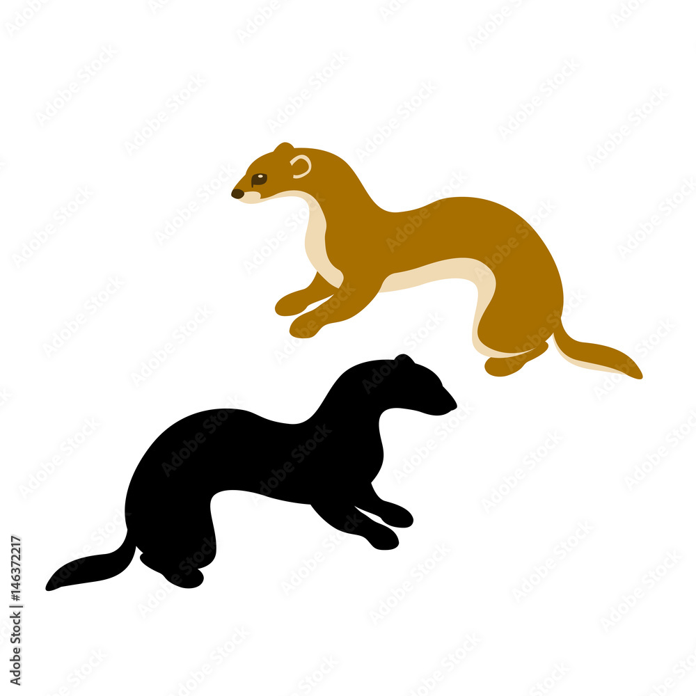 weasel vector illustration style Flat silhouette