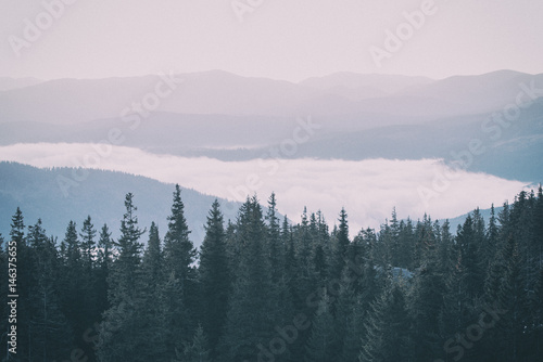 Foggy morning landscape with mountain range and fir forest in hipster vintage retro style