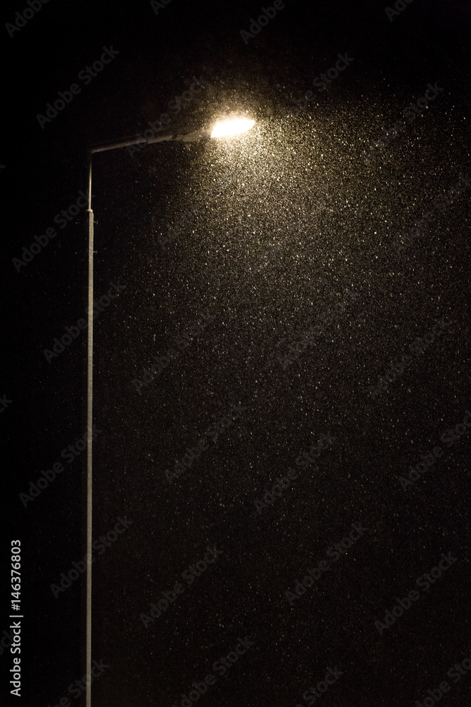 Street lamp and falling snow