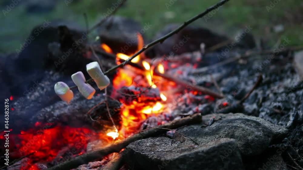 Someone roasting the marshmallows on the campfire in the cold forest Someone roasting the marshmallows on the campfire in the cold forest