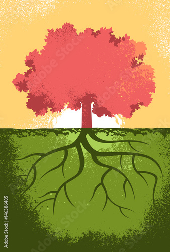 Albero e Radici
