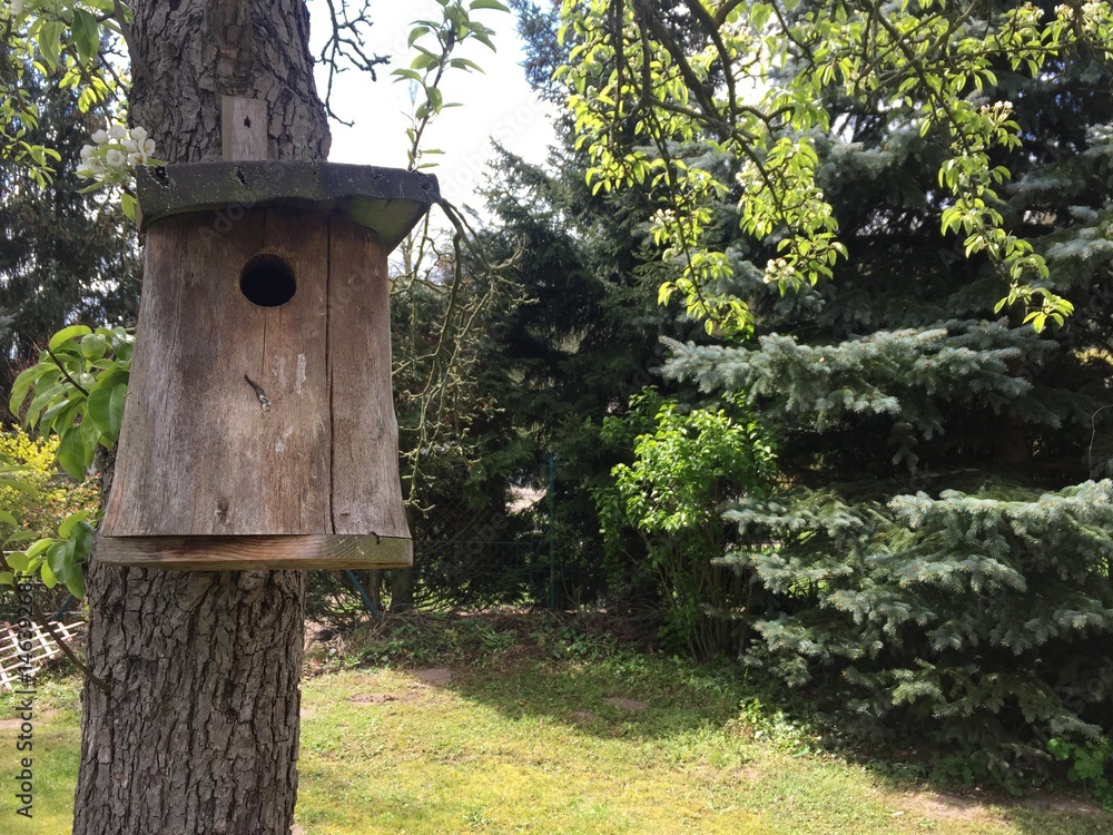 Vogelhaus, Vogelhäuschen, am Baum im Garten StockFoto Adobe Stock