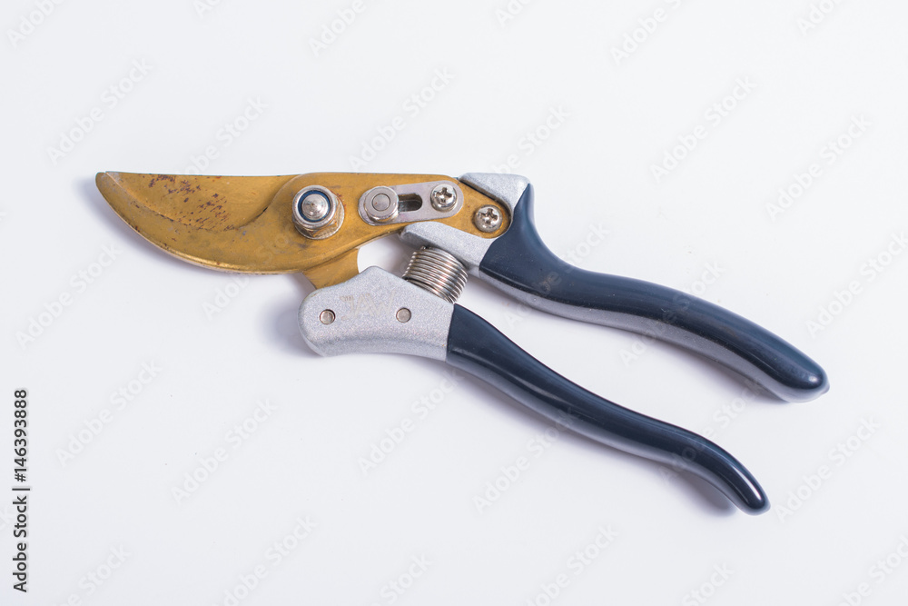 Obraz premium Old garden shears for pruning on white