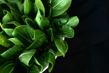 chinese cabbage, bok choy