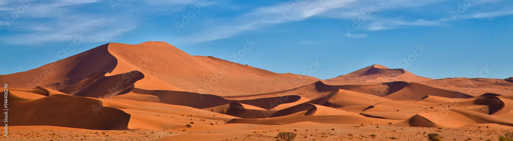 Obraz na płótnie Panoramic of Sossus Dunes, Namibia