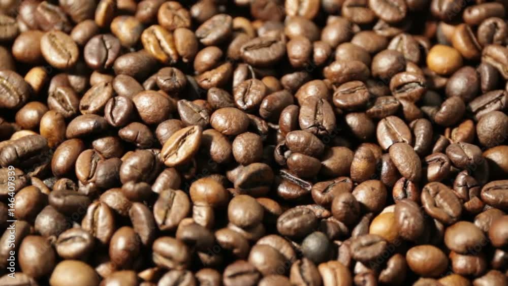 Coffee Beans on Rotation Plate Coffee Beans on Rotation Plate