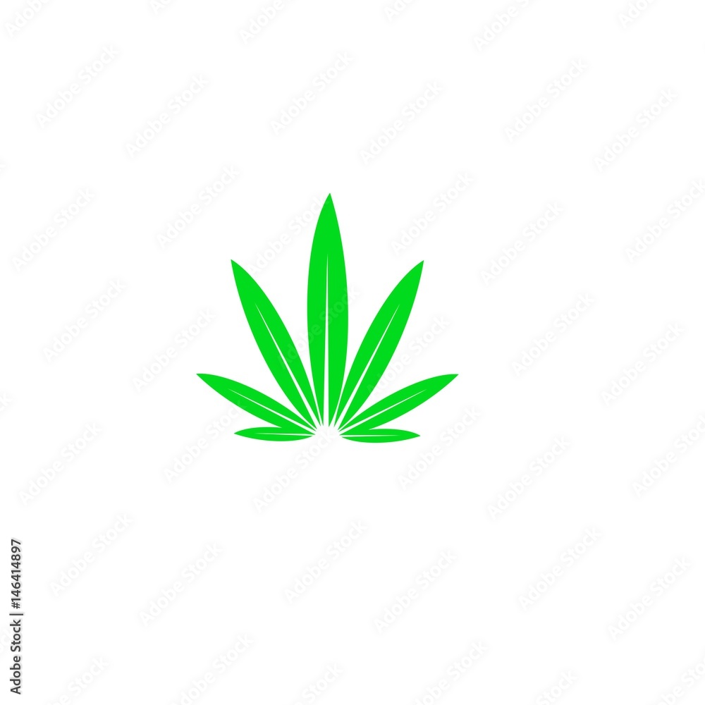 green leaf green leaf