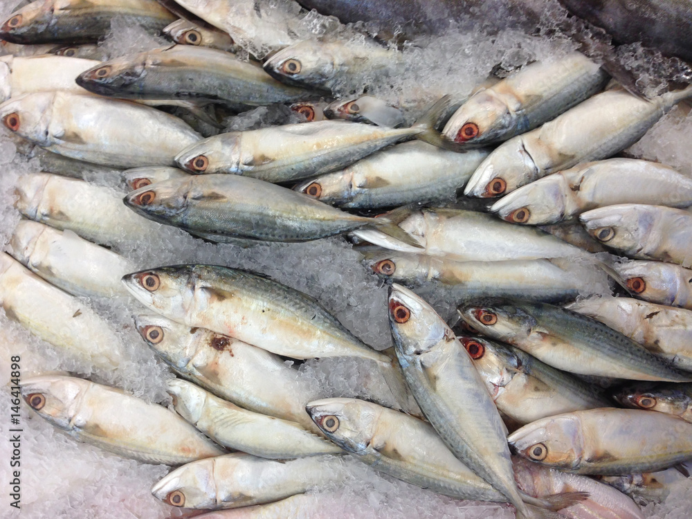 Many mackerel in the market Many mackerel in the market