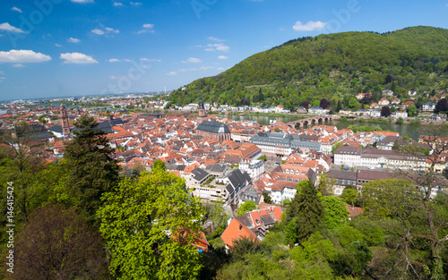 The aerial view of Heidelberg featuring Church of Holy spirit and Carl Theodor Old Bridge
