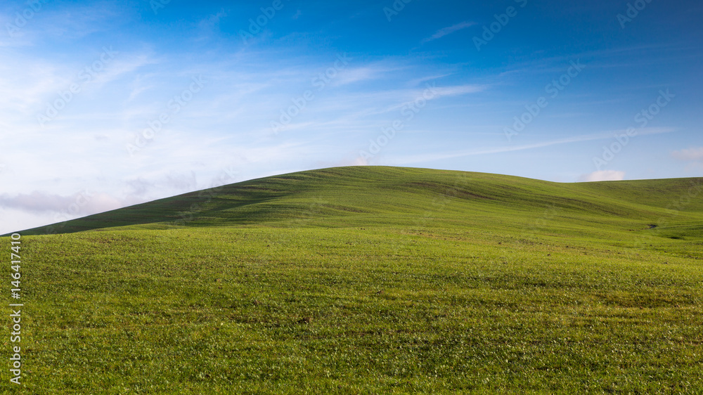 Morning green field on a Tuscan hill under a blue sky with clouds