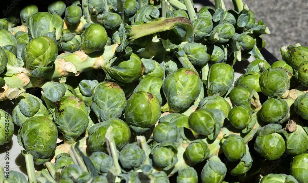 Brussel sprouts for sale at outdoor market Brussel sprouts for sale at outdoor market