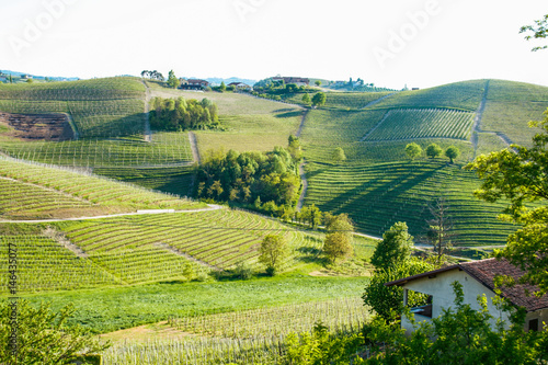 Landscape of Langhe