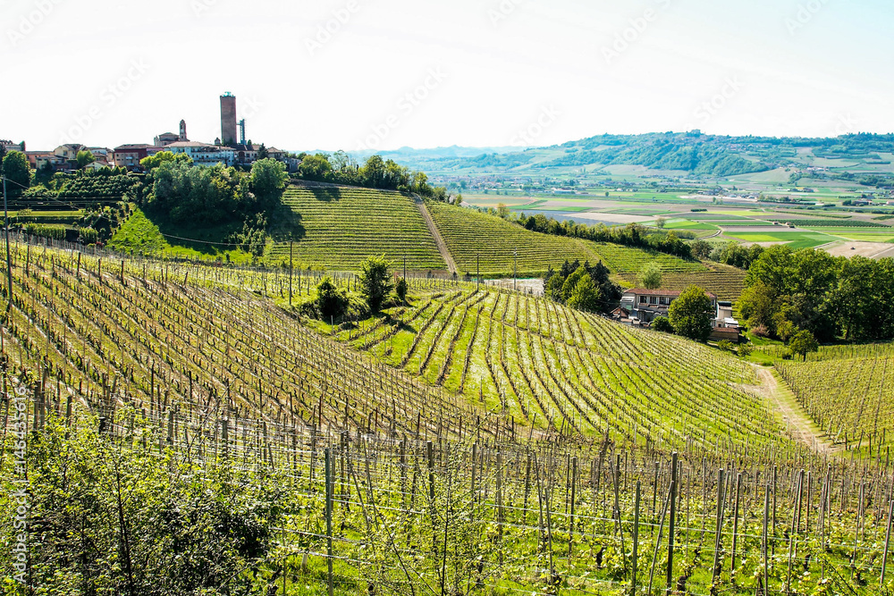 Landscape of Langhe and the village of Barbaresco