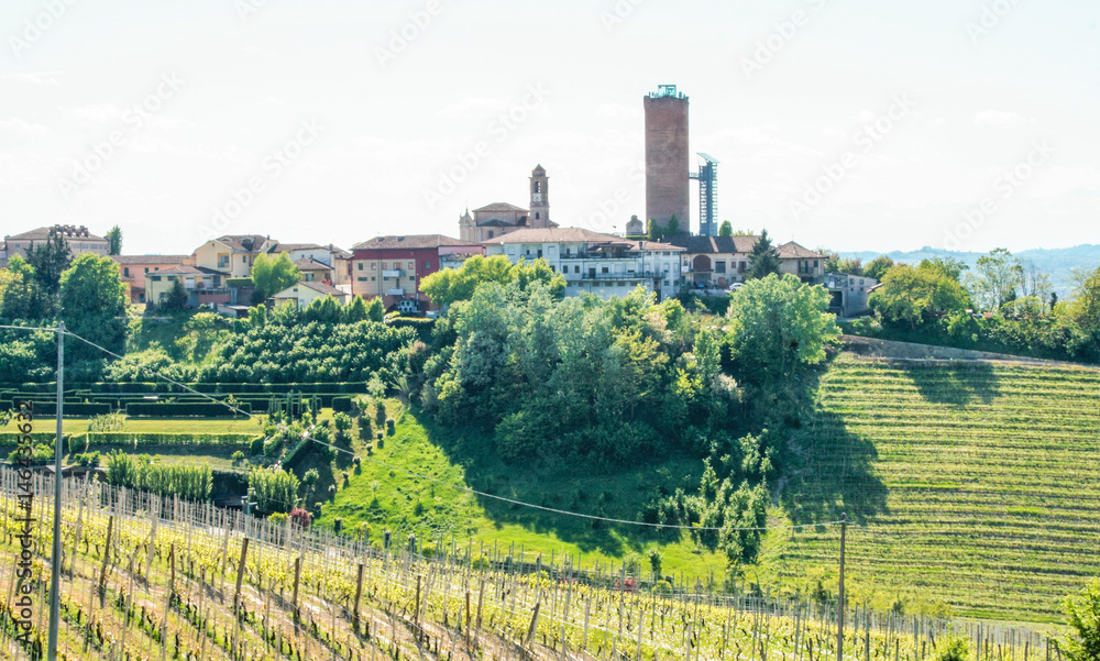Landscape of Langhe and the village of Barbaresco