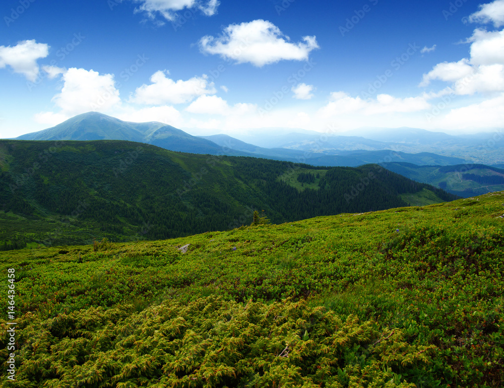 Mountain landscape in summer